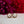 Load image into Gallery viewer, Dahlia Pearl Stud Earrings 9mm - Leah Hollrock

